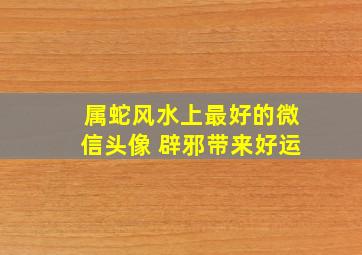 属蛇风水上最好的微信头像 辟邪带来好运